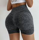 Shorts Fitness - Cintura Alta