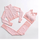 Conjunto Feminino Fitness (Calça, Jaqueta e Sutiã Esportivo)